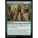 (Foil) Verte - Avantage de l'ancremage (C) [FRA]