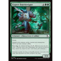 (Foil) Verte - Expert fouettevigne (C) [FRA]