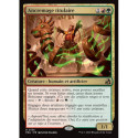 (Foil) Multicolore - Ancremage titulaire (V1) (R) [FRA]