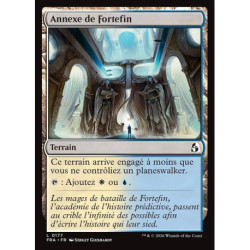 (Foil) Terrain - Annexe de Fortefin (C) [FRA]