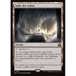 (Foil) Terrain - Salle des échos (V1) (R) [FRA]