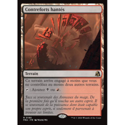 (Foil) Terrain - Contreforts hantés (V1) (R) [FRA]