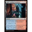(Foil) Terrain - Salle commune novatrice (C) [FRA]