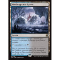 (Foil) Terrain - Marécage aux épaves (V1) (R) [FRA]