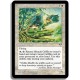 Blanche - Griffon de la mtenda (U)