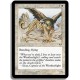 Blanche - Griffon de la teremko (C)