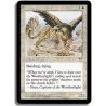 Blanche - Griffon de la teremko (C)