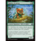 (Foil) Verte - Rapine, le nexus (U) [FRA]