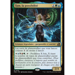(Foil) Multicolore - Tam, la possibilité (V1) (R) [FRA]