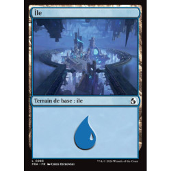 (Foil) Terrain - Île (V1) (L) [FRA]
