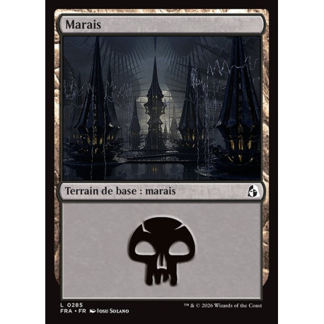 (Foil) Terrain - Marais (V1) (L) [FRA]