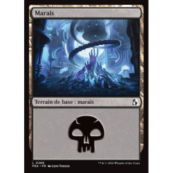 (Foil) Terrain - Marais (V2) (L) [FRA]