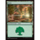 (Foil) Terrain - Forêt (V1) (L) [FRA]