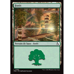 (Foil) Terrain - Forêt (V1) (L) [FRA]