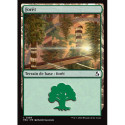 (Foil) Terrain - Forêt (V1) (L) [FRA]