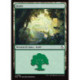 (Foil) Terrain - Forêt (V2) (L) [FRA]