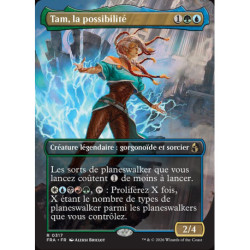 (Foil) Multicolore - Tam, la possibilité (V2, Borderless Echoed Pairs) (R) [FRA]