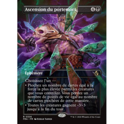 (Foil) Noire - Ascension du portemort (V2, Borderless - Shattered Mirror) (R) [FRA]
