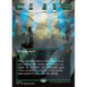 (Foil) Verte - Omniprésence (V2, Borderless - Shattered Mirror) (M) [FRA]