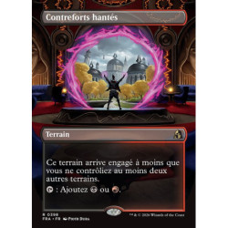 (Foil) Terrain - Contreforts hantés (V2, Borderless Portal View) (R) [FRA]