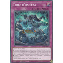 Toile d'Ashtra (C) [BETB]