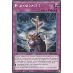 Pile ou Face ? (C) [BETB]
