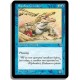Bleue - Crocodile des bancs de sable (C)