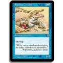 Bleue - Crocodile des bancs de sable (C)