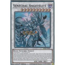 Sénéchal Angetélité (SR) [BETB]