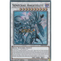 Sénéchal Angetélité (SR) [BETB]