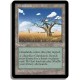 Terrain - Herbages (U)