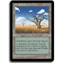 Terrain - Herbages (U)