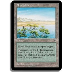 Terrain - Plaine inondee (U)