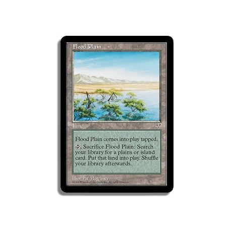 Terrain - Plaine inondee (U)