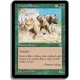 Verte - Deferlante de rhinoceros (C)