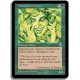 Verte - Djinn urtident (U)
