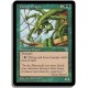 Verte - Dragon de la canopee (R)