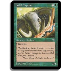 Verte - Elephant sauvage (C)