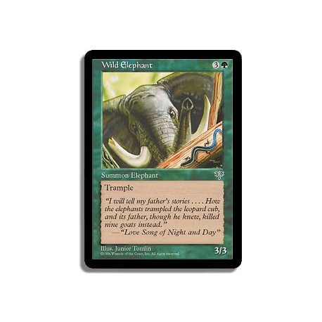 Verte - Elephant sauvage (C)