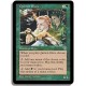 Verte - Elfes quirionais (C)