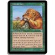 Verte - Lion de la mtenda (C)
