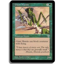Verte - Mante geante (C)