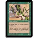 Verte - Mante geante (C)