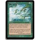 Verte - Orage tropical (U)