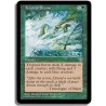 Verte - Orage tropical (U)