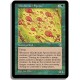 Verte - Spores dautisme (R)