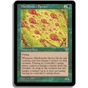 Verte - Spores d'autisme (R)
