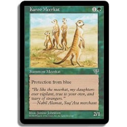 Verte - Suricate du karroo (U)