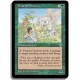 Verte - Archers femeirefs (U)