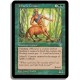 Verte - Centaure de jolrael (C)